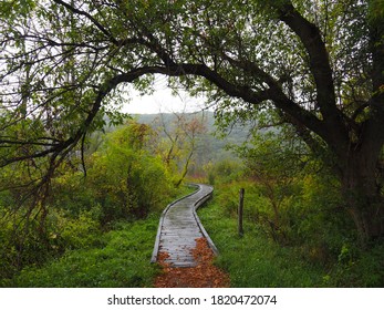 Boardwalk At The Pawling Trailhead Of The Appalachian Trail In New York