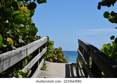Boardwalk to a peaceful beach