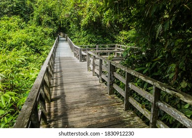 Boardwalk in Sepilok Orangutan Rehabilitation Centre, Borneo island, Malaysia