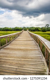 Boardwalk At Shem Creek In Mount Pleasant South Carolina