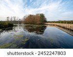 Boardwalk and sunrise cloudscape over constructed wetlands of Green Cay Nature Center in Boynton Beach, Florida..