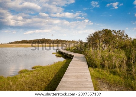 Boardwalk through salt marsh wetlands under a blue sky with fluffy clouds at Assateague Island National Seashore, Maryland