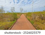 Boardwalk Through a Swamp on a Sunny Day in the Okefenokee National Wildlife Refuge in Georgia