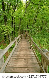 Boardwalk Through a Verdant Forest in the Porcupine Mountains Wilderness State Park in Michigan - Shutterstock ID 2271744777