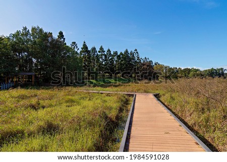Boardwalk through wetlands at botanic gardens on a bright sunny day