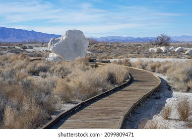 Boardwalk Trail to Longstreet Cabin and Spring in Ash Meadows National Wildlife Refuge, Nye County, Nevada, USA - Shutterstock ID 2099809471
