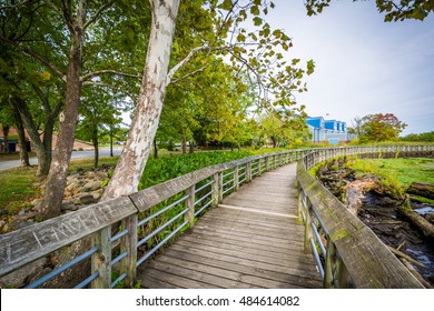 Boardwalk trail in a wetland, at Rivergate City Park, in Alexandria, Virginia.