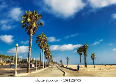 Boardwalk of Venince beach with palms, Los Angeles, USA