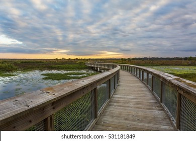 Boardwalk Winding Through A Wetland In Gainesville, Florida