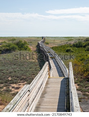 boardwalks to the beach on plum island in parker river national wildlife refuge in Newbury MA.