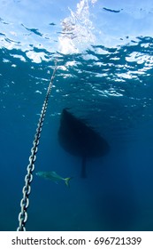 Boat Chain Anchor From Underwater