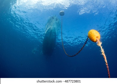 Boat Chain And Yellow Buoy Anchor From Underwater