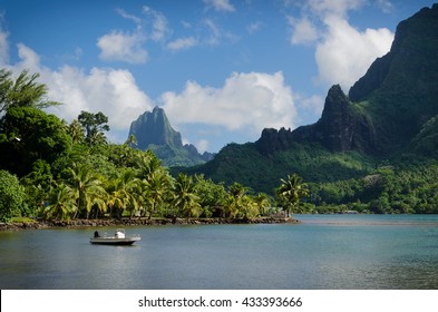 Boat in Cooks Bay with Moua Puta mountain in the background in a green jungle landscape on the tropical island of Moorea, near Tahiti in the Pacific archipelago French Polynesia.
