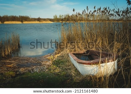 Boat in the grass on the shore of the lake, sunny day
