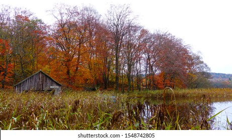           Boat house beside water surrounded by reeds and Autum trees                    
