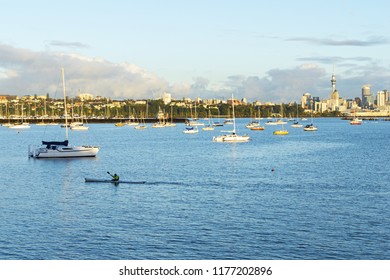 Boat Marina And View To Auckland City From Mission Bay - Auckland New Zealand