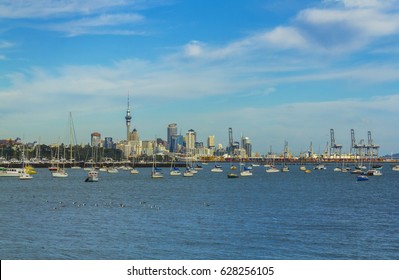 Boat Marina And View To Auckland City From Mission Bay - New Zealand