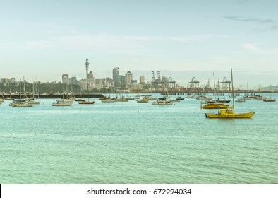 Boat Marina And View To Auckland City From Mission Bay - New Zealand