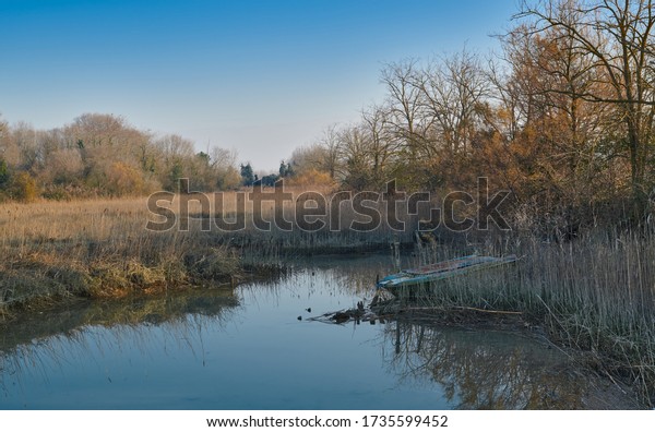 Boat in the middle of the colourful winter\
landscape of the Venetian lagoon of Caorle with reeds, trees and\
blue sea water