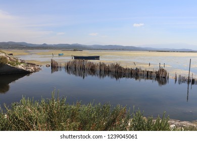 Boat On The Narta Lagoon  In Albania.