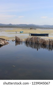 Boat On The Narta Lagoon  In Albania.