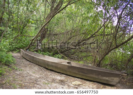 Similar – Image, Stock Photo Holzpaddel lehnt, halb von der Trauerweide bedeckt, an der sonnenwarmen Steinmauer.