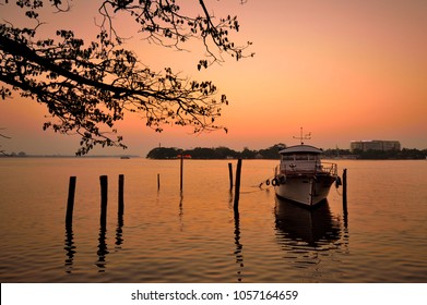 A boat parked in a jetty in Vembanad Lake in Marine Drive, Kochi during sunset with silhouette of tree branches in the background.