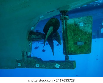 Boat propellers under the hull and Underwater.
					Lots of fish around the boat propellers.