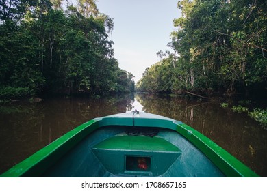 Boat Ride On Kinabatangan River Cruise In Boreno