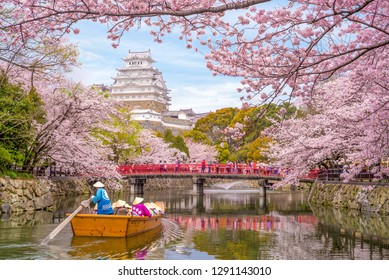 boat ride on moat of himeji castle with cherry blossom in himeji city, japan