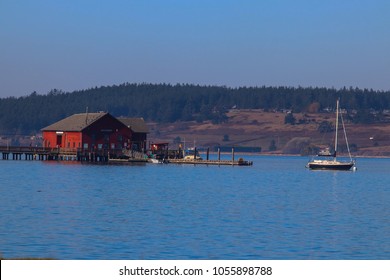 Boat Shed On Whidbey Island Wa
