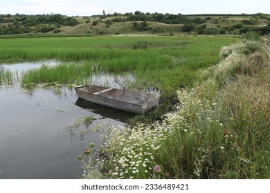 A boat in a swamp