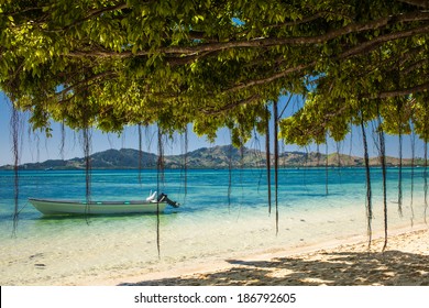 Boat and trees on a tropical beach in Fiji Islands