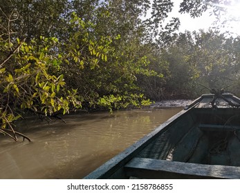 Boat Trip Down Gambia River Stream