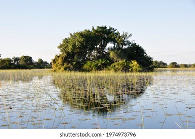 Boat trip at sunset in the Okavango-Delta-swamps.