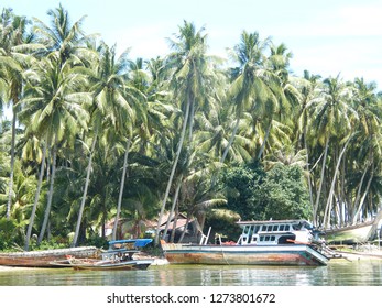 A Boats And Coconut Trees, Mentawai, Indonesia