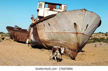 Boats In Desert Around Moynaq, Muynak Or Moynoq - Aral Sea Or Aral Lake - Uzbekistan - Asia 