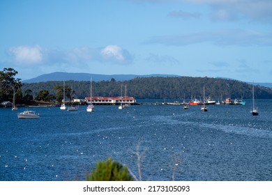 Boats in a harbour in Hobart Tasmania Australia, cray fishing boats and yachts, on blue clear water 