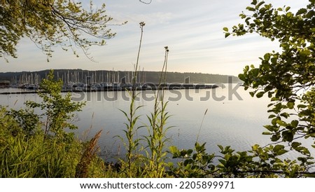 Boats in Harrislee Harbour. Clear sky. The sea framed by trees and bushes. Flensburg, Fjord, , Baltic Sea, Germany, Denmark, Europe
