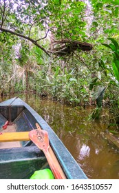 Boats Lake Sandoval Puerto Maldonado Peru