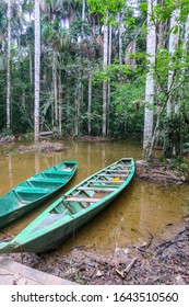 Boats Lake Sandoval Puerto Maldonado Peru