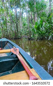 Boats Lake Sandoval Puerto Maldonado Peru