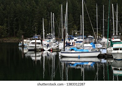 Boats in marina on Vancouver Island with reflection in dark water from trees