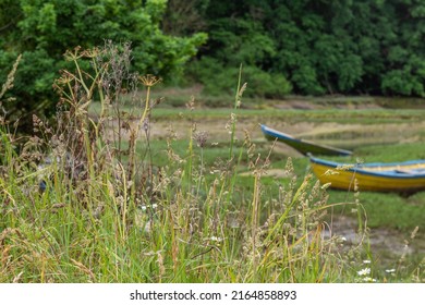 The Boats Are Moored Dry While Waiting For High Tide.