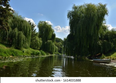 Trees On River Bank Hd Stock Images Shutterstock