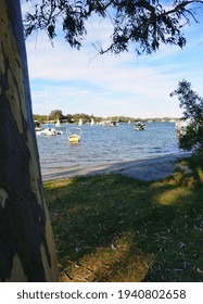 Boats On The Noosa River