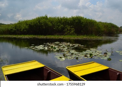 Boats On Obedska Bara, Srem Serbia