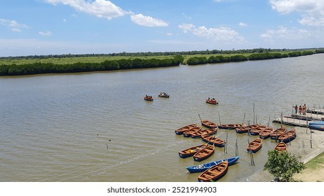 boats are standing in the river of the forest