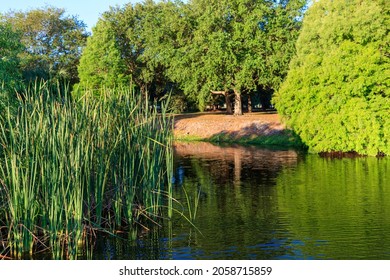 A Bobby Hicks Park, South Tampa