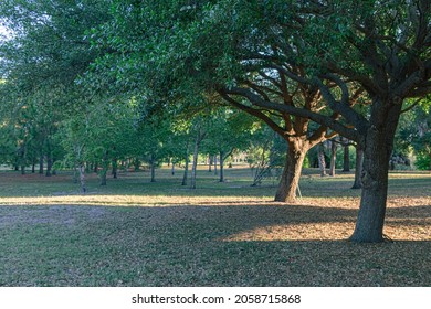 A Bobby Hicks Park, South Tampa